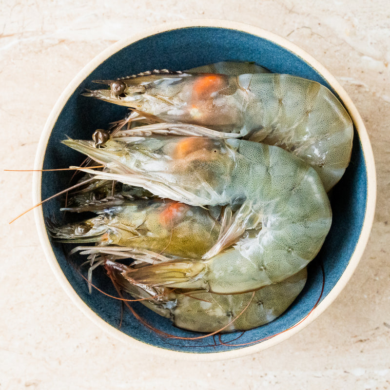 Frozen raw king prawns 1kg box