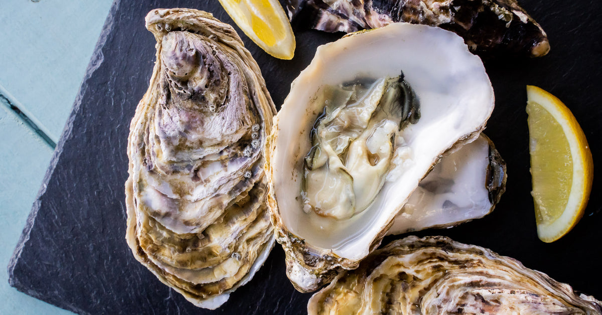 Oysters | Buy Fresh Oysters Online | The Fresh Fish Shop UK